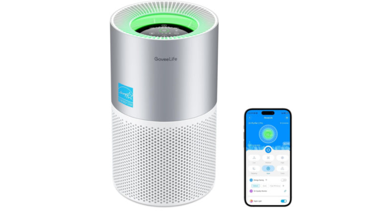 Best Smart Air Purifiers