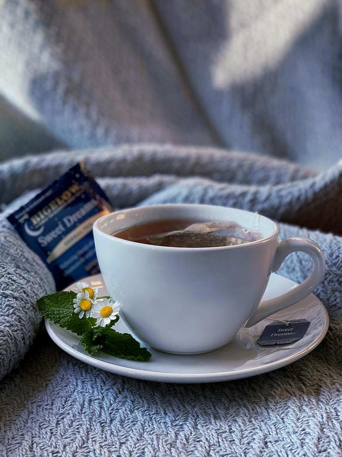 Best Calming Teas for Sleep in 2026